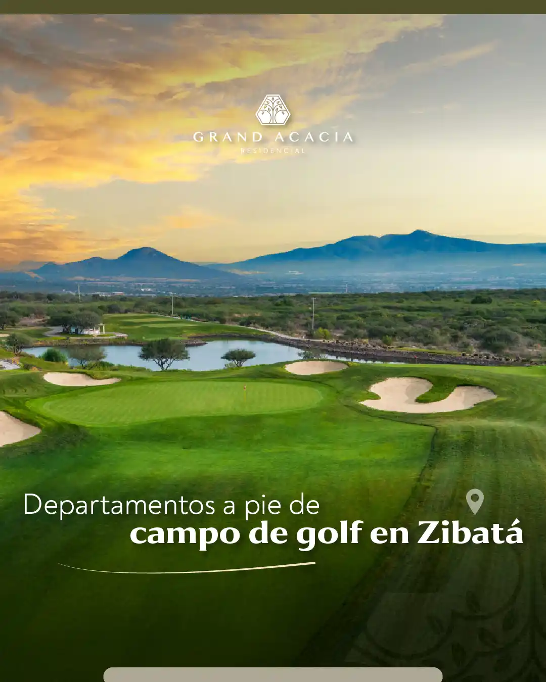 ÓLTA bottle in a warm market setting with bokeh lights