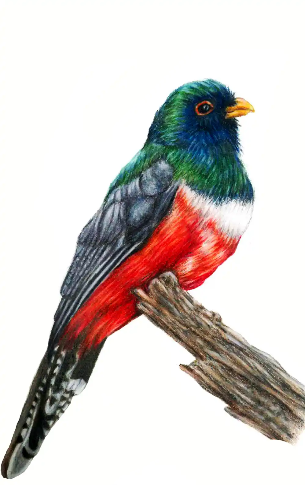 Pintura realizada por Karla Zalazar